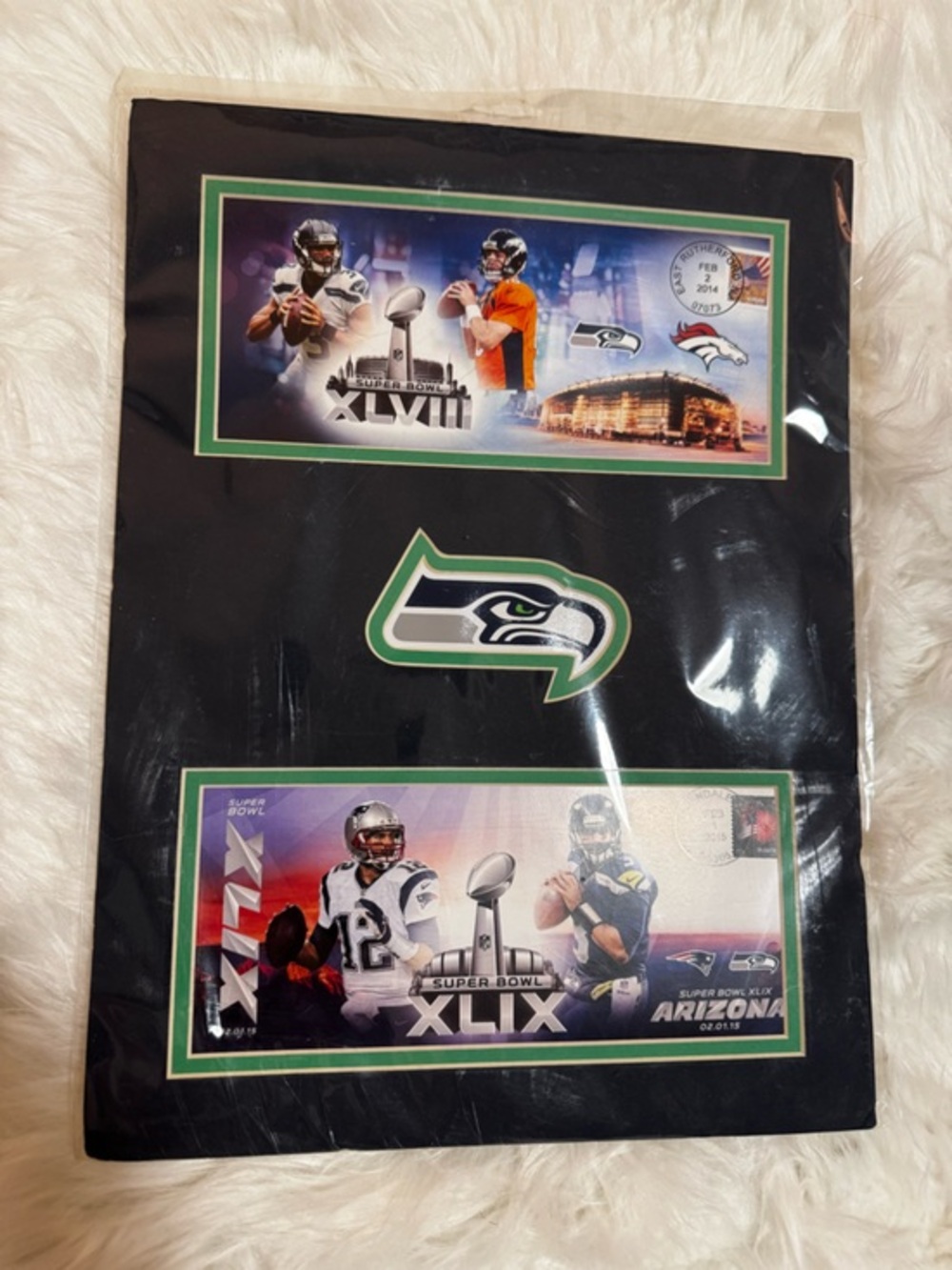 Seattle Seahawks Super Bowl XLVIII & XLIX Collector Display Plaque Decor